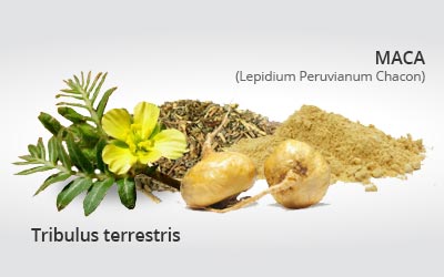 Our Ingredient.
